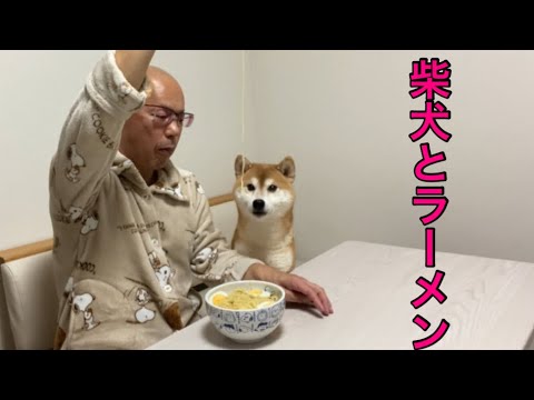 【玉子おじさん55歳】寂しがり屋の犬と一緒にラーメン食べてみた！