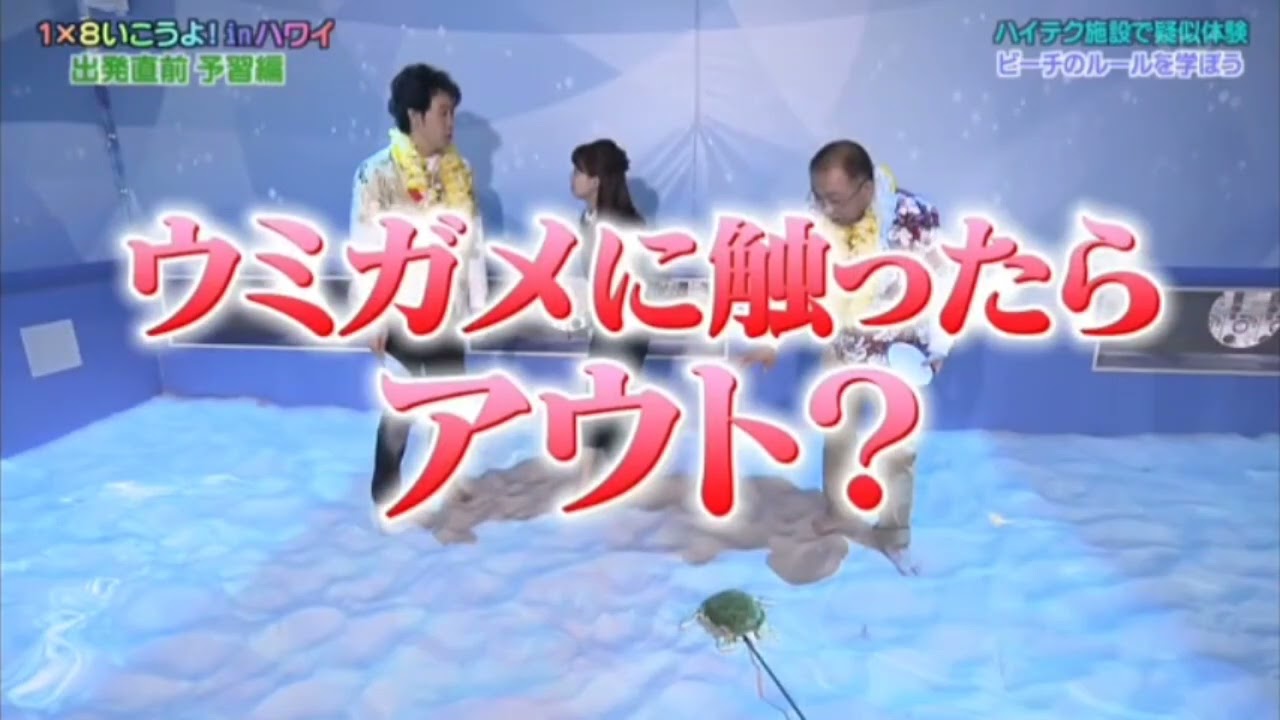 🆕着ぐるみ職人😑大家彩香😑