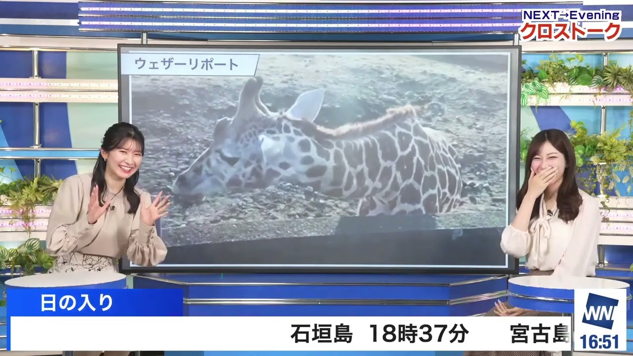 【魚住茉由】【駒木結衣】クロストーク（250213 ウェザーニュースlive Afternoon　→　ウェザーニュースlive Evening）