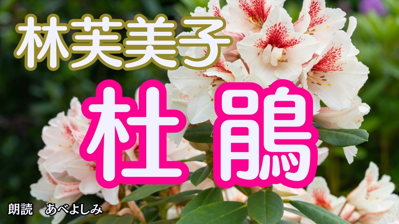 【朗読】林芙美子「杜鵑(ほととぎす) 」　　朗読・あべよしみ