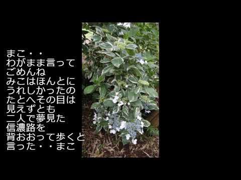 昭和の歌３１８０＃愛と死を見つめて　　青山和子
