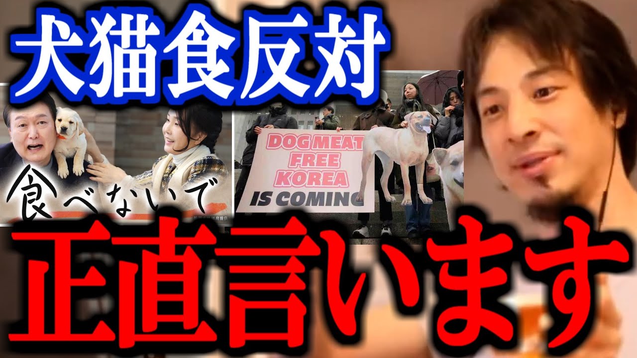 【最新ひろゆき】犬猫保護、ワンニャン平和党、犬猫食反対 正直言います【切り抜き 論破 ひろゆき切り抜き 中国 韓国 12平和党 デヴィ夫人 食用禁止】
