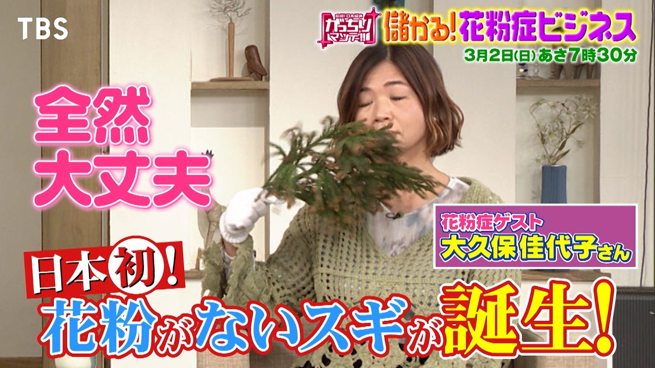 『がっちりマンデー!!』3/2(日) 花粉がないスギが誕生！儲かる｢花粉症ビジネス｣!!【TBS】
