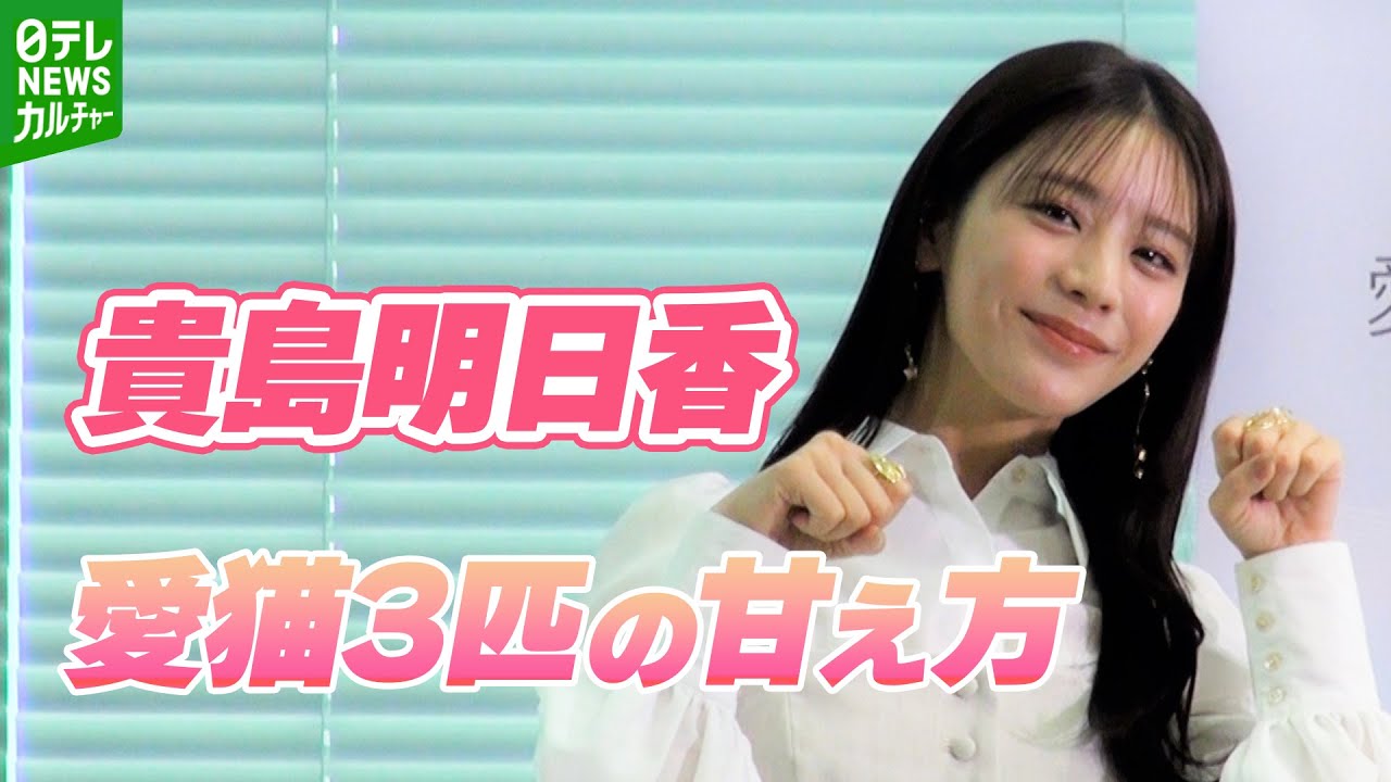 貴島明日香 「欲むきだしで」3匹の愛猫の甘え方を語る