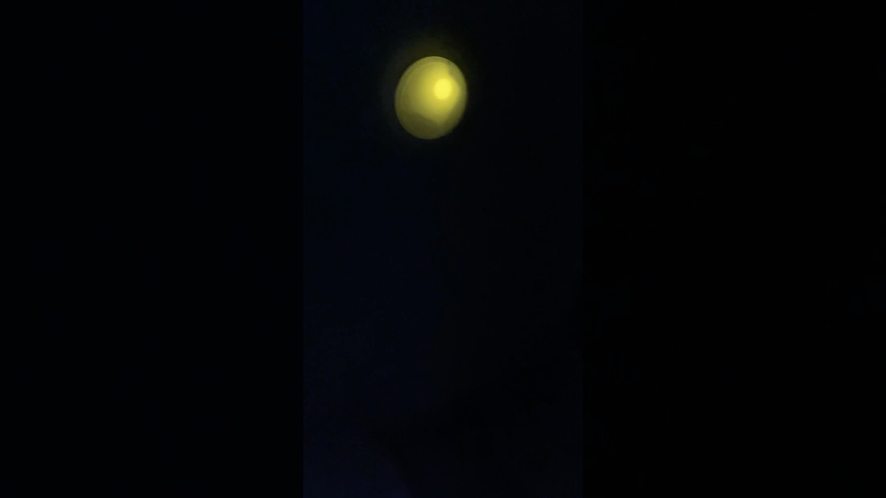 2025年2月26日