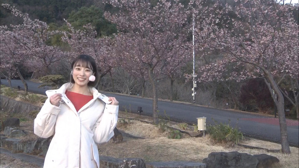 【画像】今日の今井春花さん　2.28