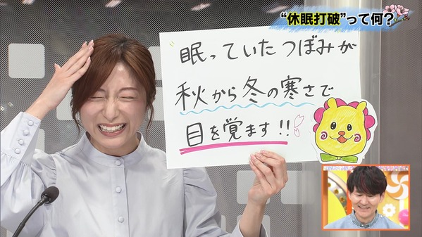 【画像】今日の市來玲奈さん　2.17