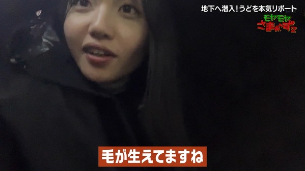 1 (4)
