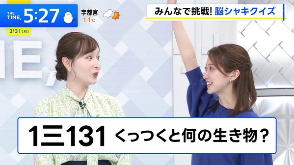 1 (11)