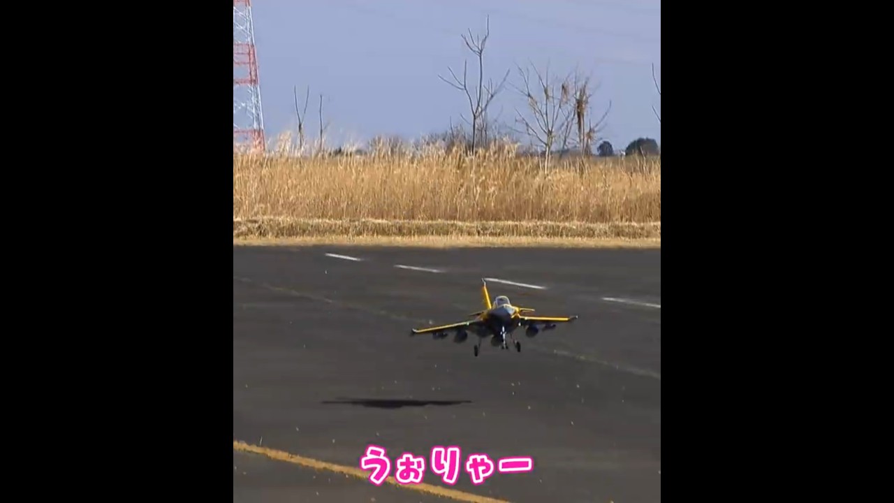 着陸に成功するDassault Rafale　ラジコン飛行機