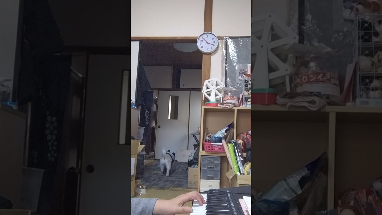 愛は風まかせ五十嵐浩晃耳コピ２日音合わせ本番