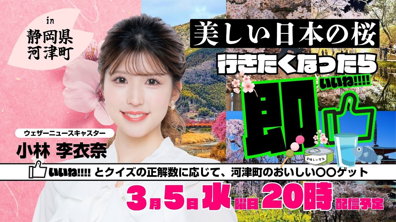 【桜企画2025】行きたくなったら即いいね!!「日本の美しい桜in河津町」／2025.3.5 20時配信予定（小林李衣奈）