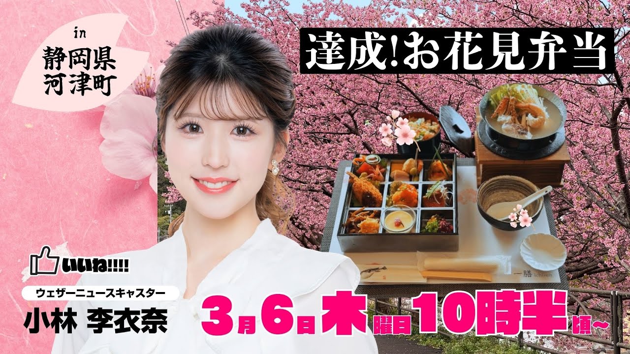 【桜企画2025】お花見弁当を食べる（ポイント達成報酬）〜日本の美しい桜in河津町／2025.3.6 10時半頃〜配信予定（小林李衣奈）