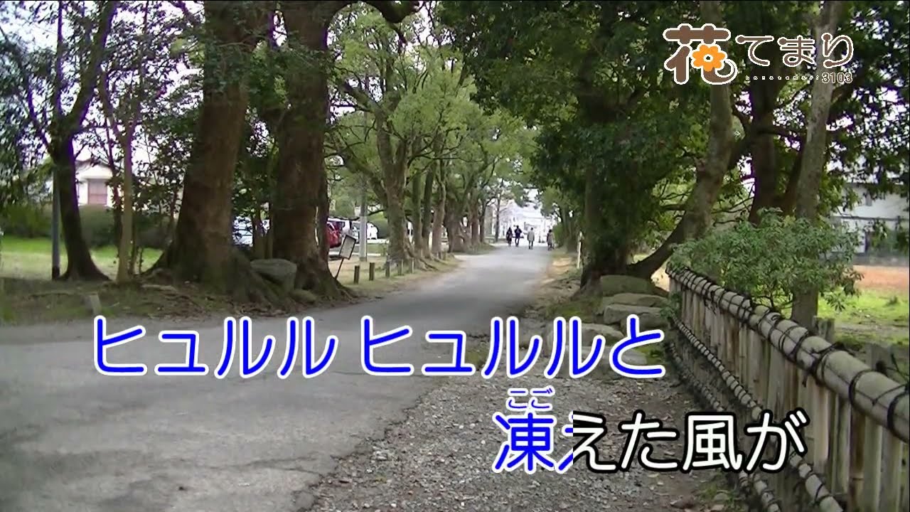 木村好夫　京都去りがたし　花のステージ703－372