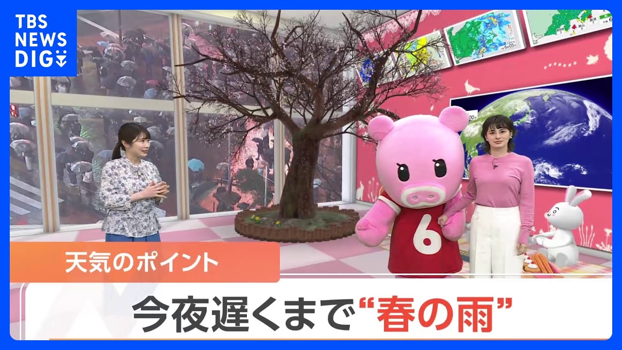 【3月13日 関東の天気】今夜遅くまで“春の雨”｜TBS NEWS DIG