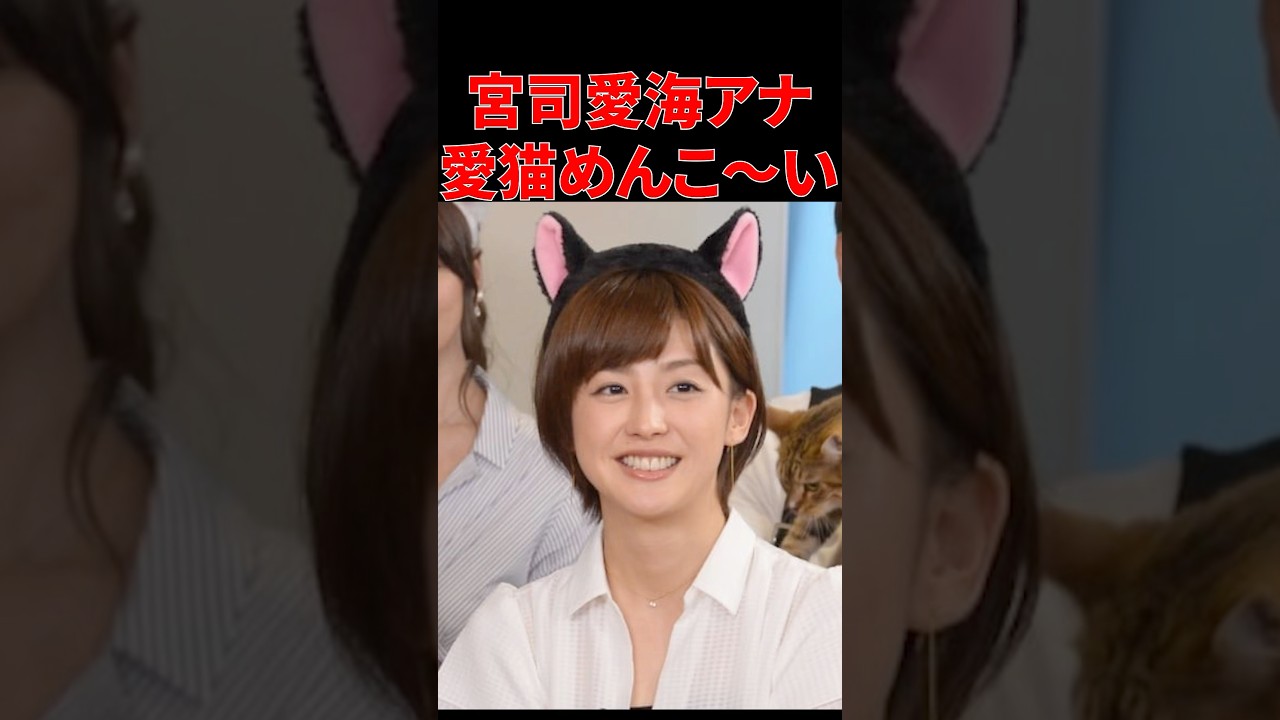 【宮司愛海アナ】にゃんこちゃん、めんこ〜い #宮司愛海 #女子アナ #フジテレビ