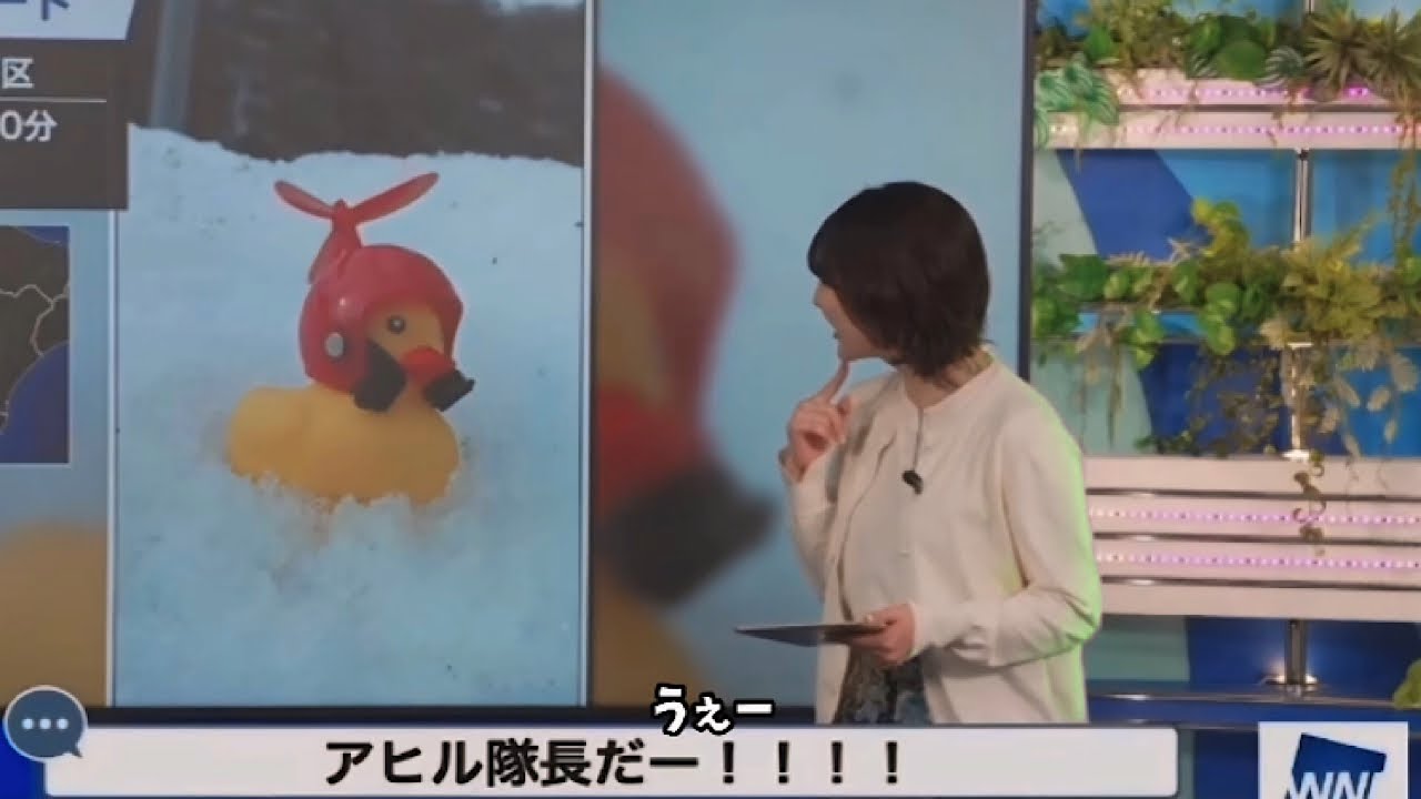 白井ゆかりさん突拍子もないリポートに吹き出す