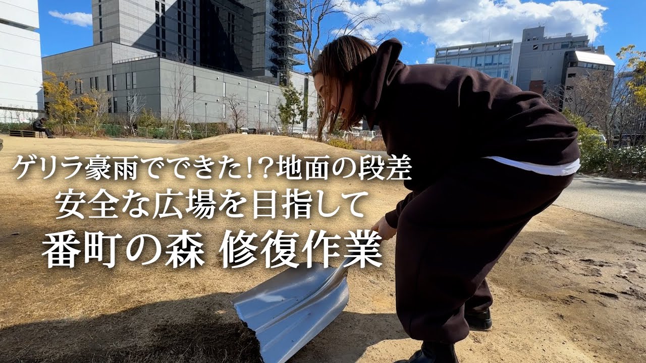 #167 番町の森 修繕活動