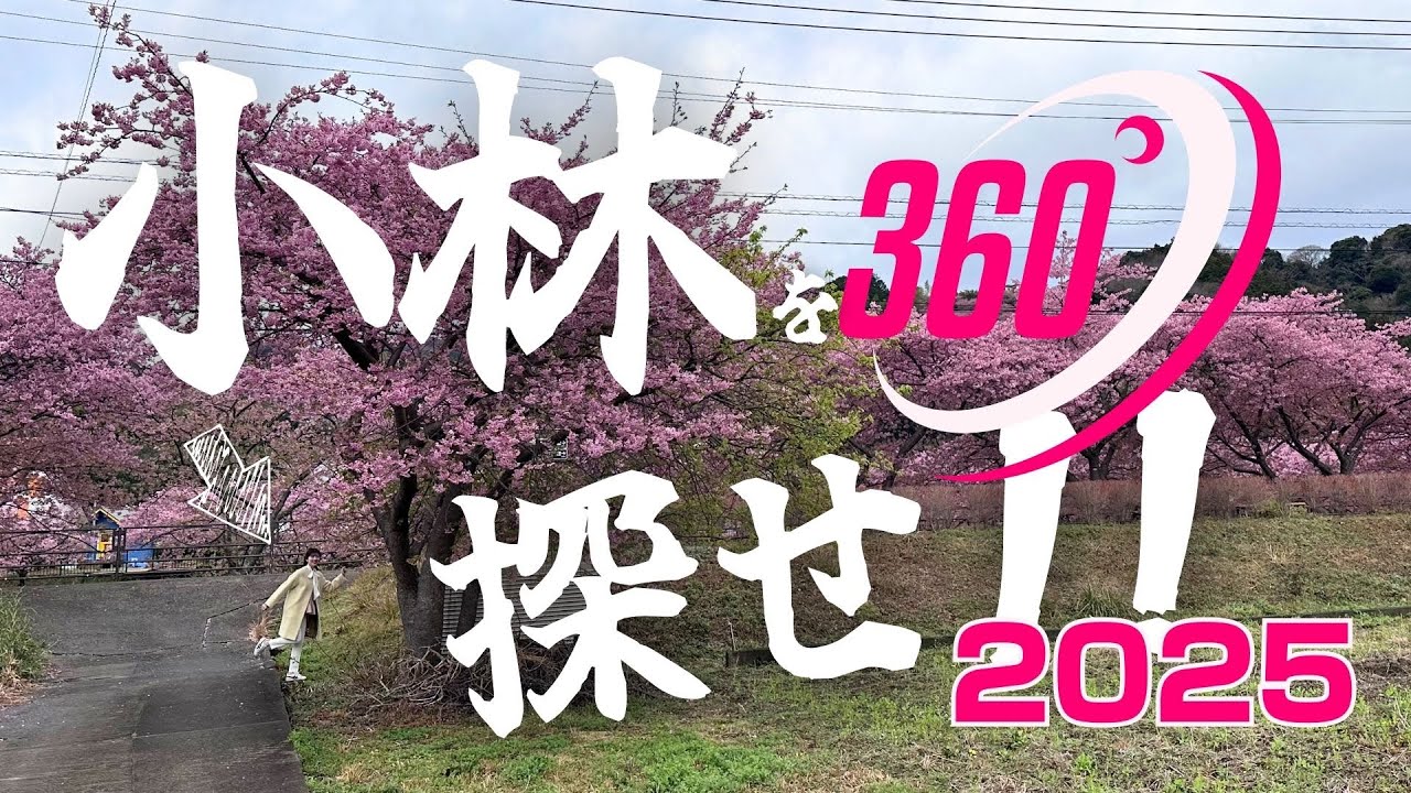 【桜企画2025】小林を探せ!!〜河津町より〜 #360video