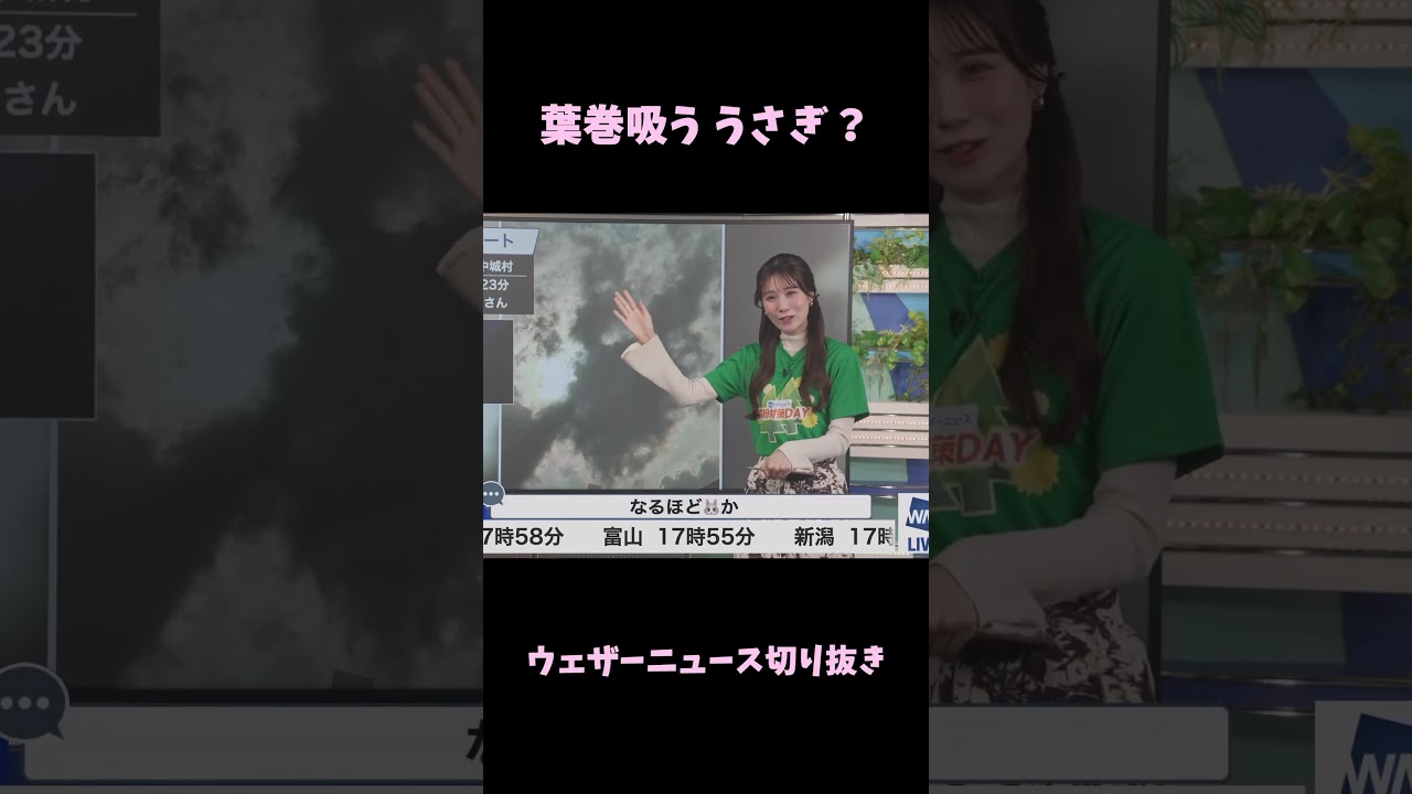 【戸北美月】葉巻吸う うさぎ？【ウェザーニュース切り抜き】#shorts #ウェザーニュース切り抜き #戸北美月