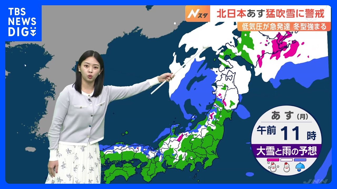 【大雪情報】17日は北日本・北陸・山陰で広く雪　特に北海道の道東・東北・北陸の内陸で大雪になるところも｜TBS NEWS DIG