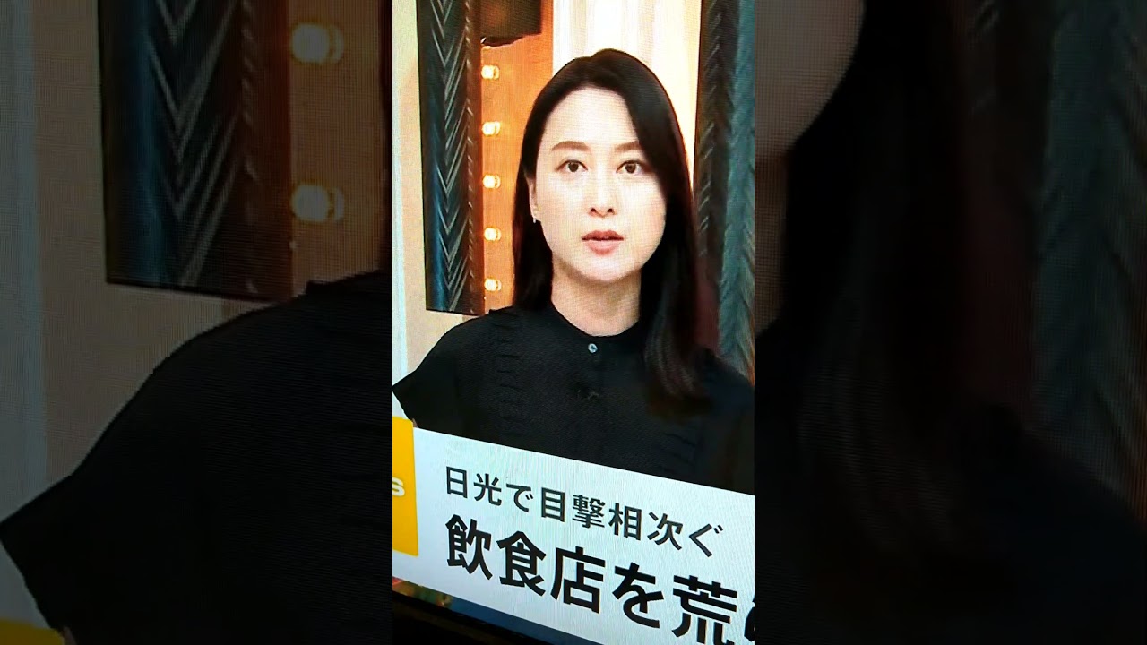 新！小川彩佳23と能登▪東北応援団385