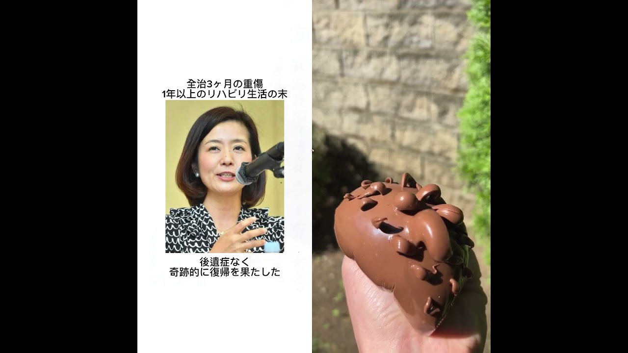 生放送中に起きた放送事故 #むらさん事件簿 #放送事故 #フジテレビ #菊間アナ #めざましテレビ