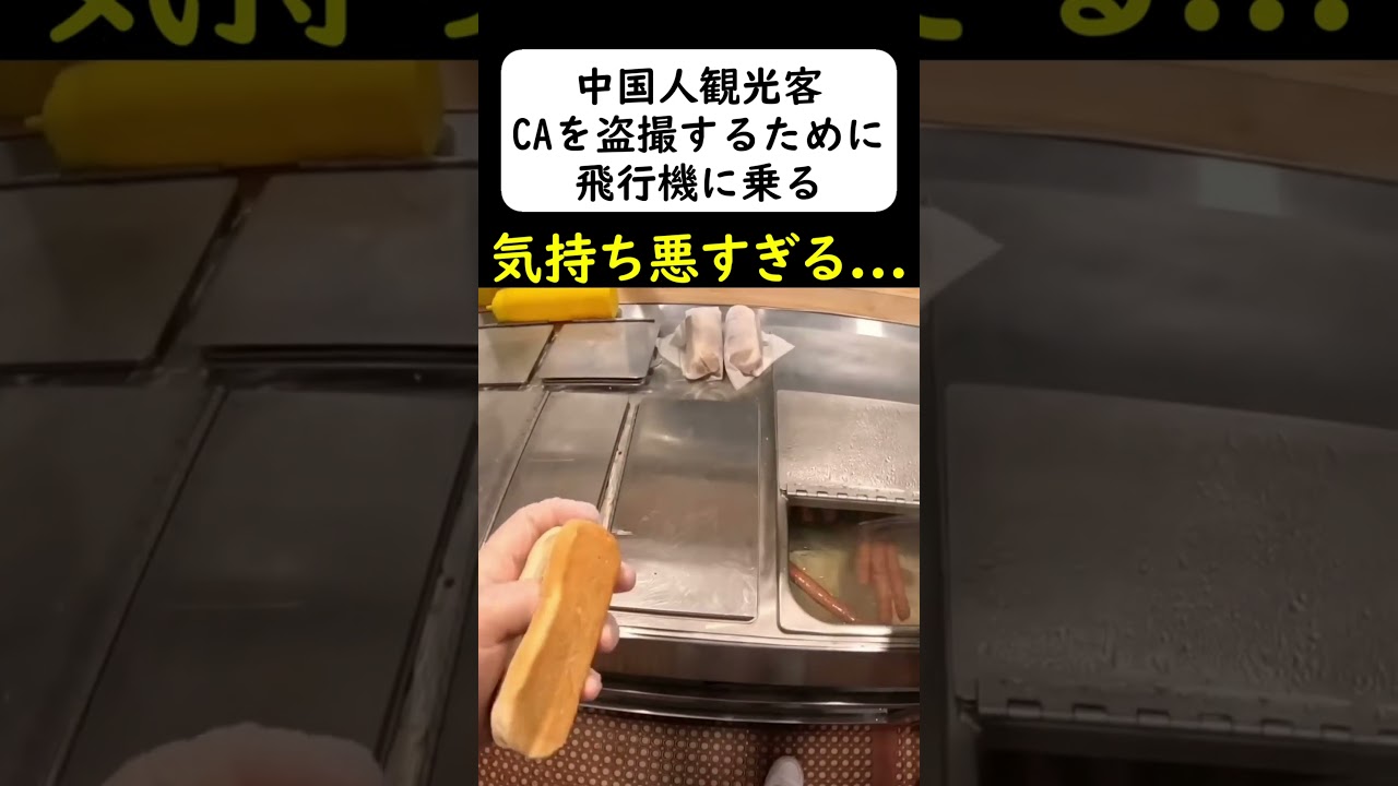 中国人観光客が全日空のCAを... #岩屋は責任をとれ
