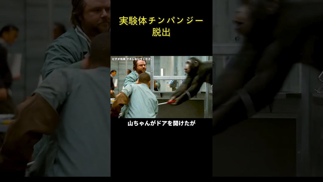 実験体チンパンジー脱出