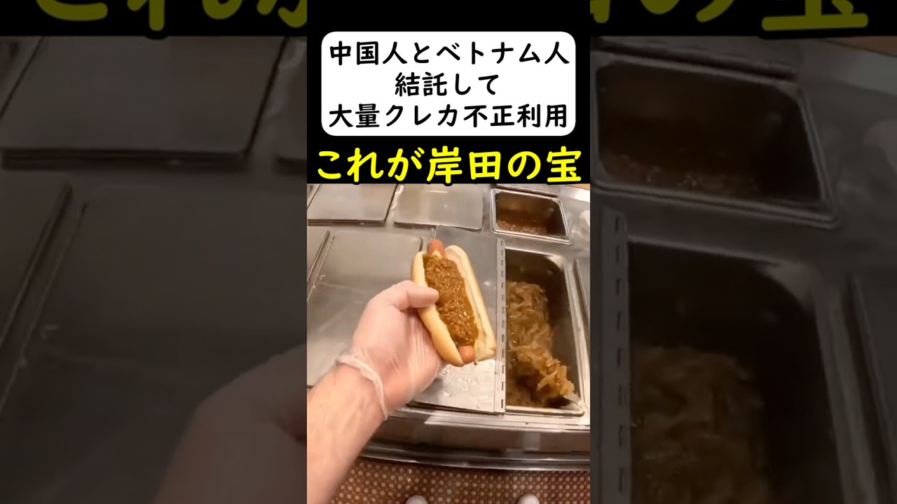 在日中国人とベトナム人がクレカ500枚を... #岩屋は責任をとれ