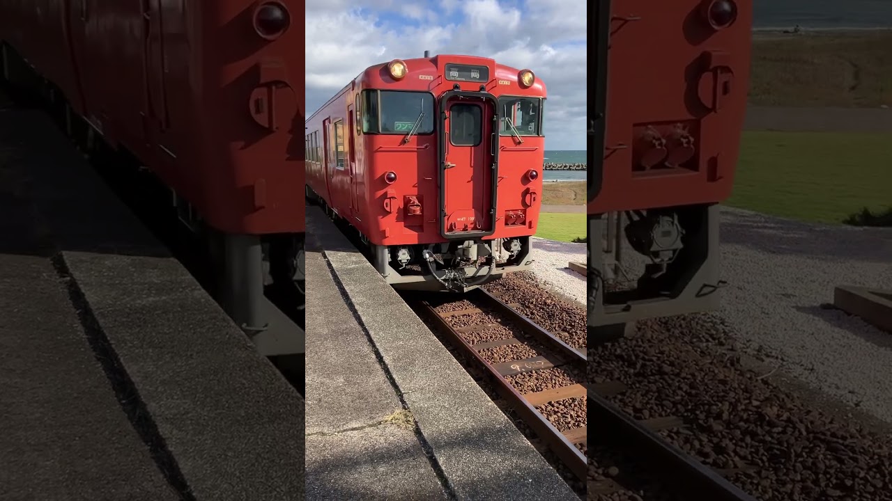 #ずっと見ていたいな#平和 #のどか #海 #鉄道 #music #鉄道のある風景 #のんびり #train