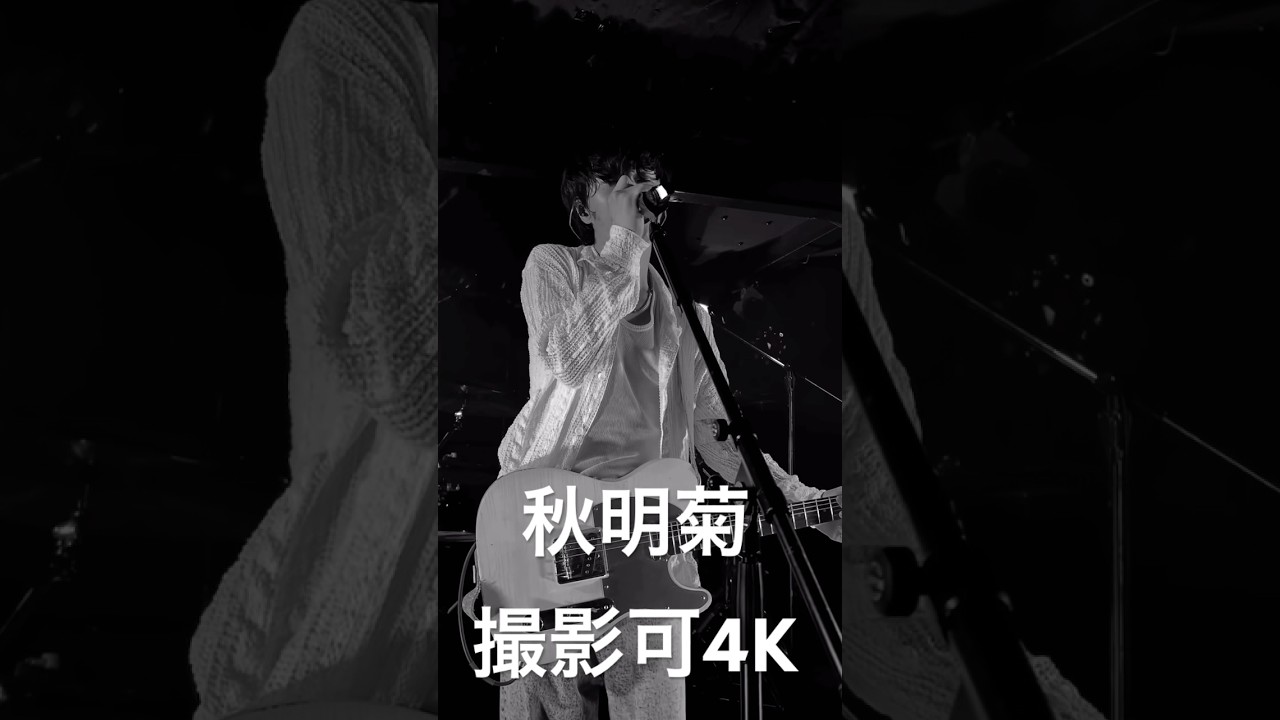 明けない夜を望んだ君の消えた部屋を想像してはそっと濁した/秋明菊/神はサイコロを振らない