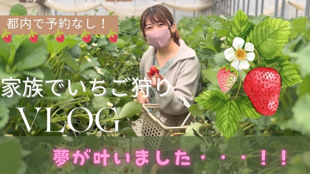 【vlog】家族でいちご狩り