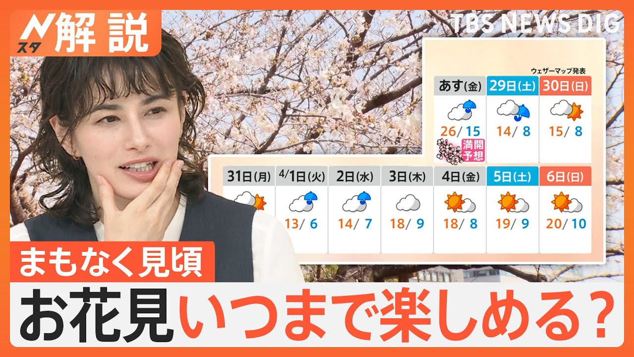 都内の桜 いま何分咲き？ 千鳥ヶ淵 靖国神社 上野公園 隅田公園の開花状況は？ 見ごろはいつまで？【Nスタ解説】｜TBS NEWS DIG
