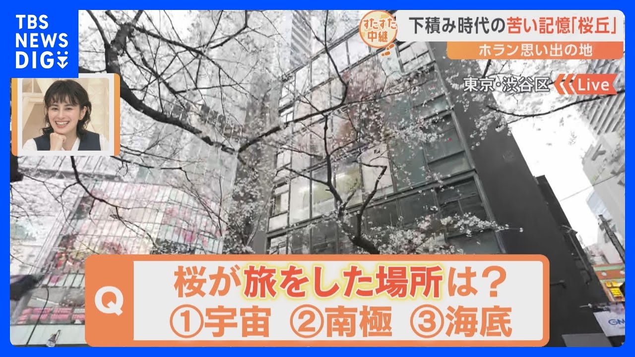 ホランさん下積み時代からの思い出の場所　オーディションに受からない日々…マネージャーと毎日反省会も　渋谷・桜丘の桜は5分咲き　来週には見ごろに｜TBS NEWS DIG