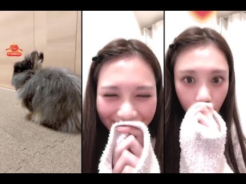 25.03.26 22:05~ TikTok LIVE ティックトックライブ #戸北美月 🐰