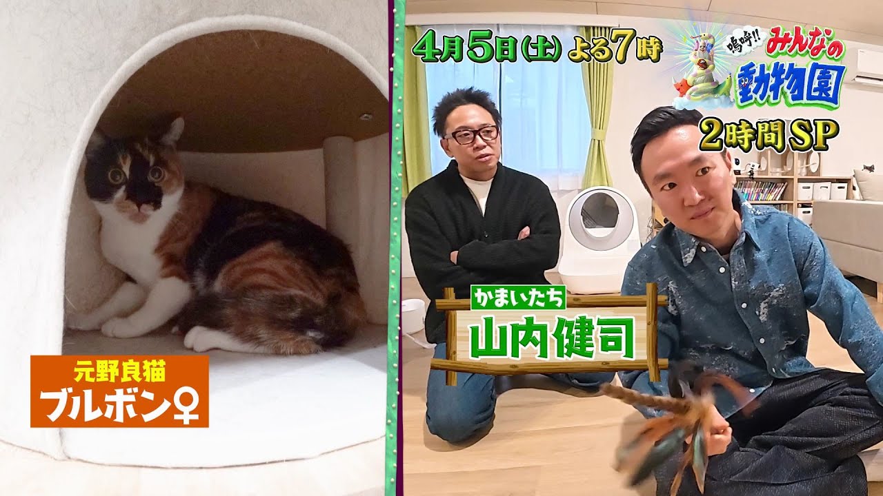 「嗚呼!!みんなの動物園」猫LOVE犬LOVE大集合2時間SP!!