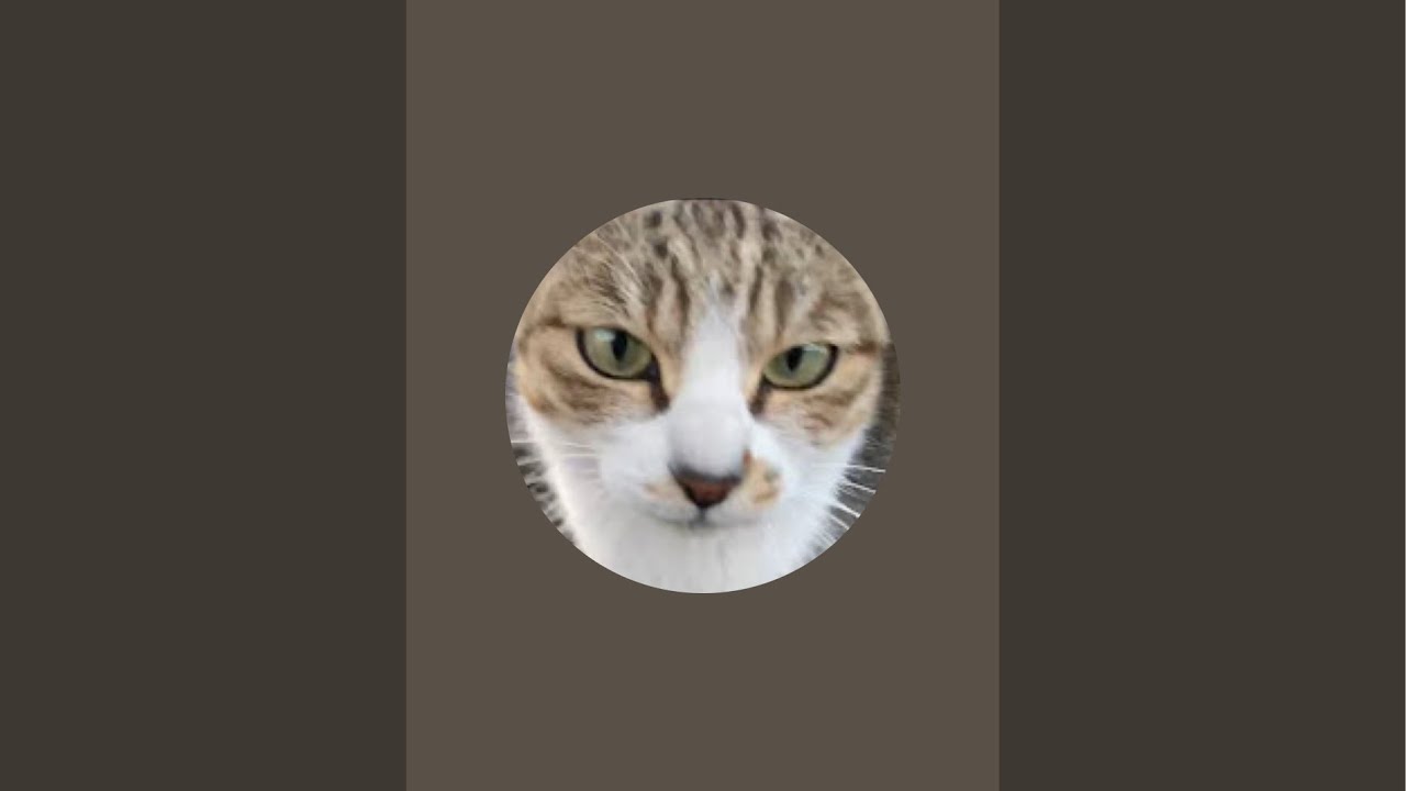 ドラ Bit がライブ配信中！