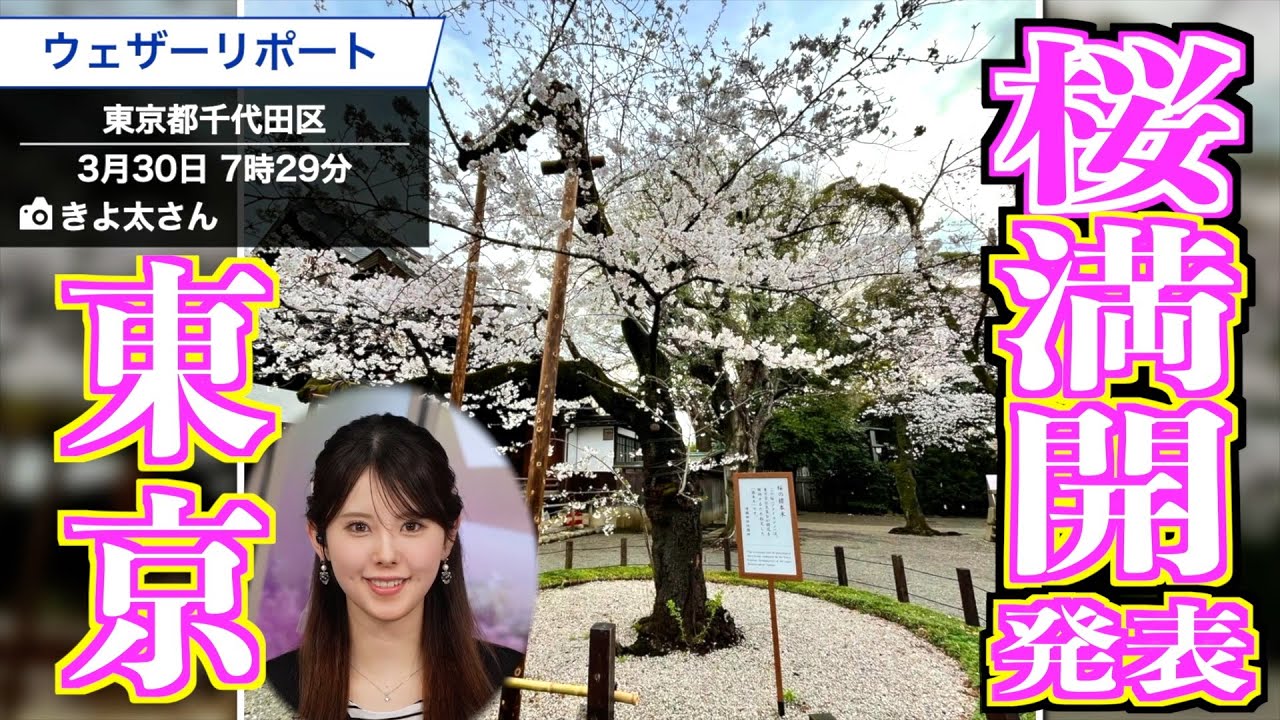 【速報】東京の桜は満開に 気象庁は東京のソメイヨシノ満開を発表