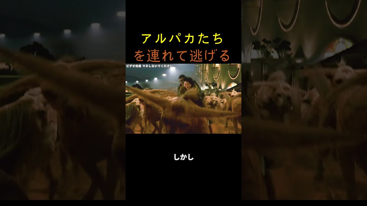 アルパカたちを連れて逃げる