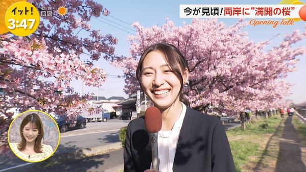 【画像】今日の宮本真綾さん　3.21