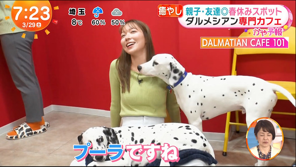 【画像】今日の阿部華也子さん　3.29