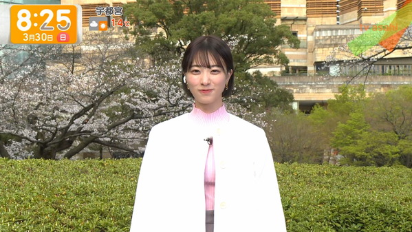【画像】今日の今井春花さん　3.30