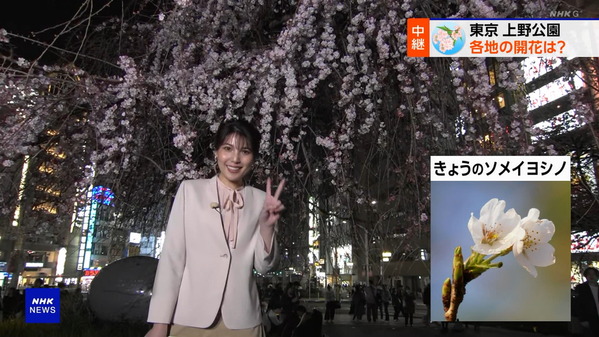 【画像】昨夜の豊島実季さん　3.22