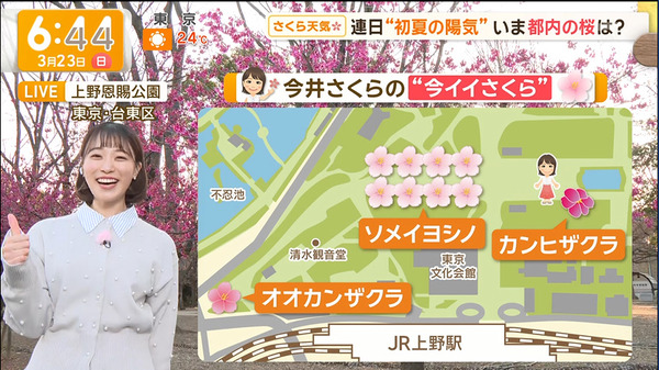 【画像】今日の今井春花さん　3.23