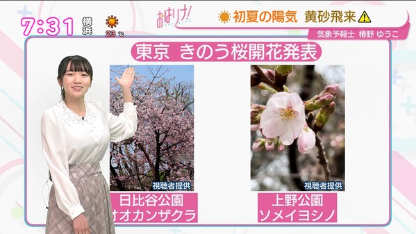 【画像】今日の椿野ゆうこさん　3.25