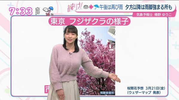 【画像】今日の椿野ゆうこさん　3.12
