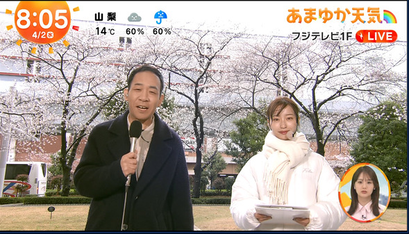 【画像】今日の林佑香さん　4.2