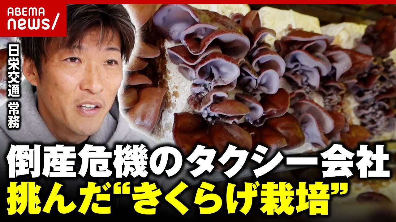 【逆転人生】タクシー会社が“きくらげ栽培”で大成功「おじいちゃんの事業を守りたい」倒産危機から復活｜ABEMA的ニュースショー
