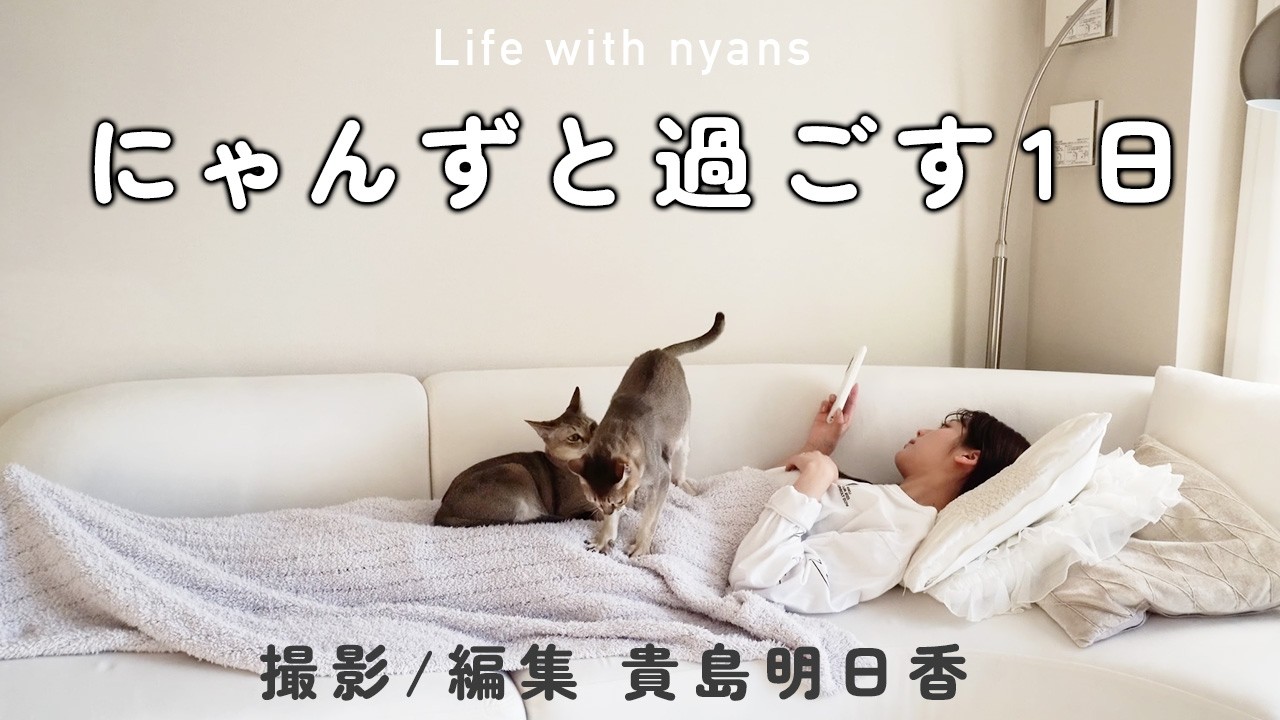にゃんずと過ごす１日〜”撮影/編集 貴島明日香”